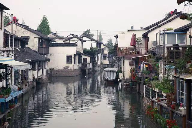 熊仔拼图